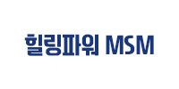 msm_logo